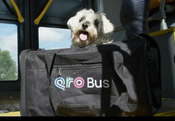 Screenshot_2026-04-16-10-04-06-80_965bbf4d18d205f782c6b8409c5773a4~2