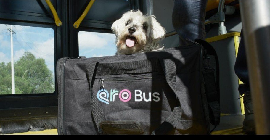 Screenshot_2026-04-16-10-04-06-80_965bbf4d18d205f782c6b8409c5773a4~2