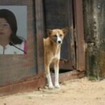 Screenshot_2026-04-16-11-40-24-30_965bbf4d18d205f782c6b8409c5773a4~2