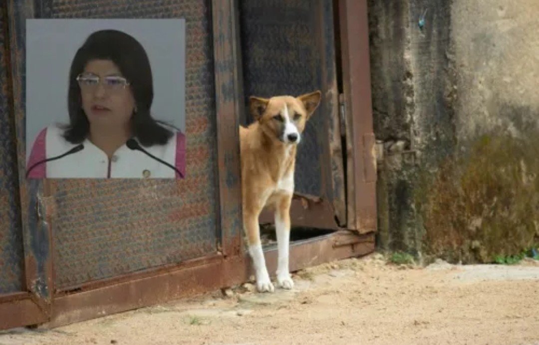 Screenshot_2026-04-16-11-40-24-30_965bbf4d18d205f782c6b8409c5773a4~2