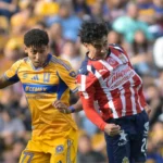 ef36f4641877a0b1169ed54c8621ddf8