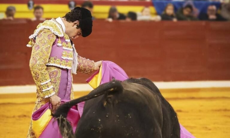 torero-1160x700-1