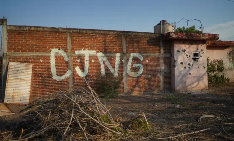 ckng-1160x700